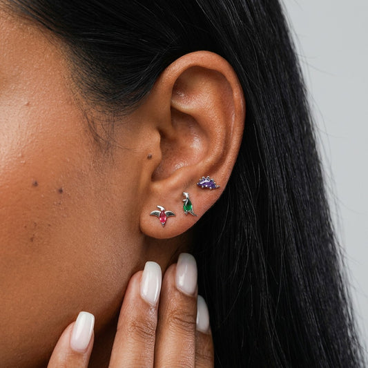Arete Individual Dinosaurio