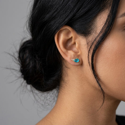 Aretes Animales Marinos