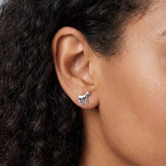 Aretes Caballito