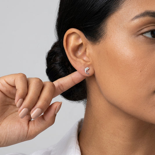 Aretes Delfines Simétricos