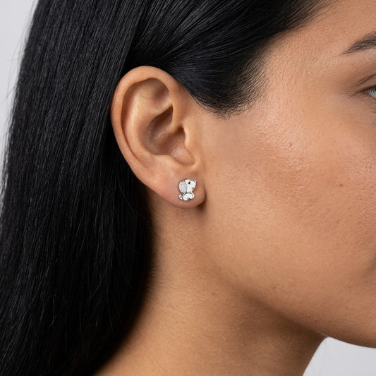 Aretes Perrito