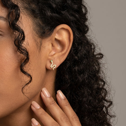 Aretes Serpiente, Cangrejo, Pez o Conejo