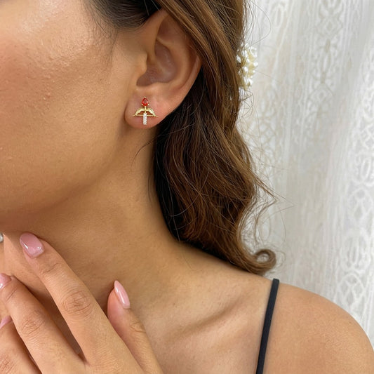 Juego Corazón Flechado con Zirconias