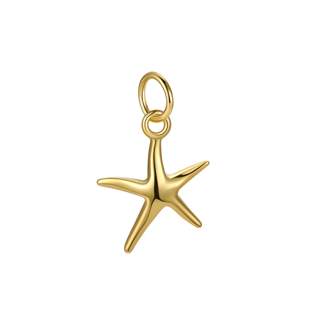 Dije Estrella de Mar Pulida