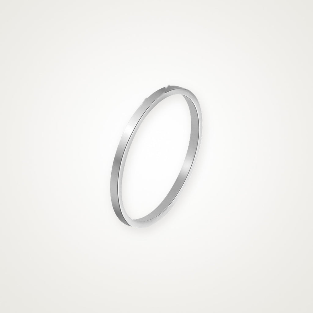 Anillo Argolla fina plateado