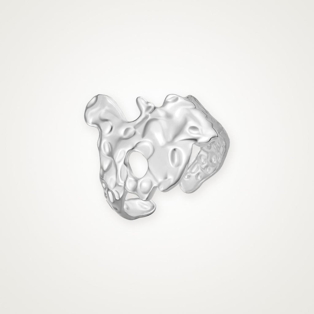 Anillo Pepita plateado