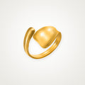 Anillo Placa curva dorado