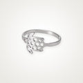 Anillo Tortuga plateado