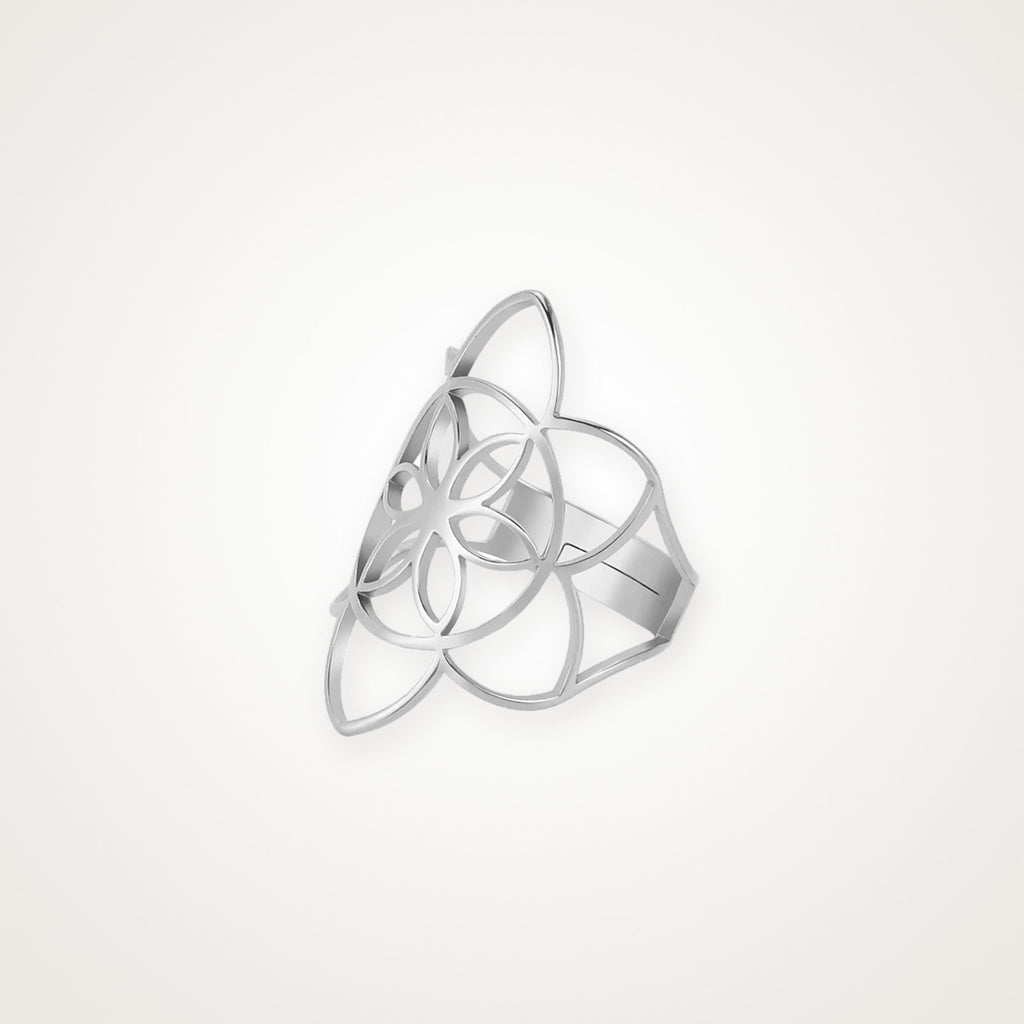 Anillo Triqueta plateado