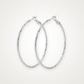 Aretes Arracadas torcidas plateados