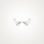 Aretes Ballena jorobada plateados
