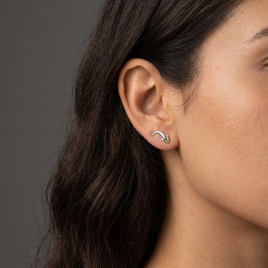 Aretes Ballena y Delfín