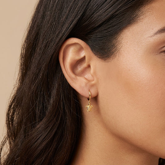 Aretes Colgantes Tortuga