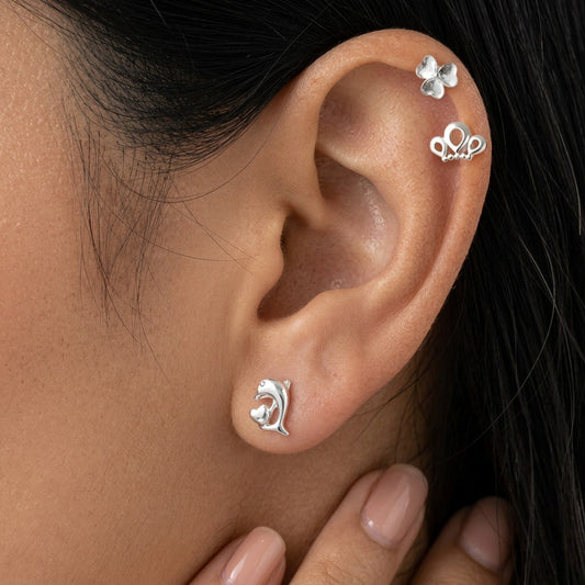 Aretes Delfín con Zirconias