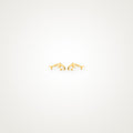 Aretes Delfín dorados
