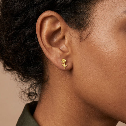Aretes Estrella y Flor con Zirconias
