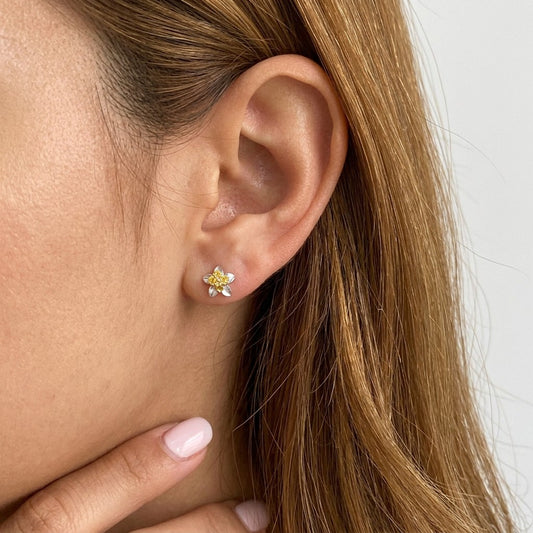 Aretes Flor Bicolor