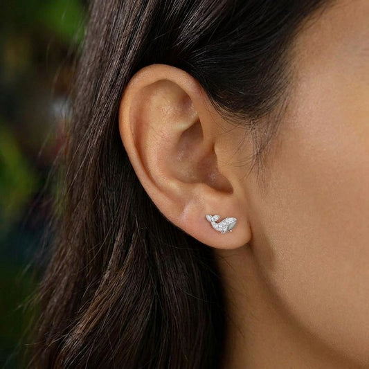 Aretes Pez y Ballena